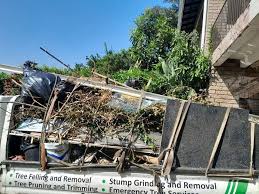 Best Attic Cleanout  in Glasgow, KY